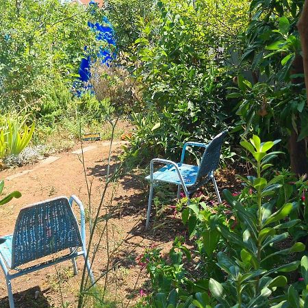 Studio Apartment Garden 두브로브니크 외부 사진